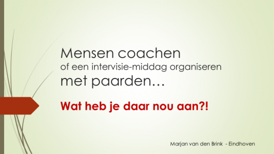 mensen-coachen-met-paarden-wat-heb-je-er-aan-1568310947.png